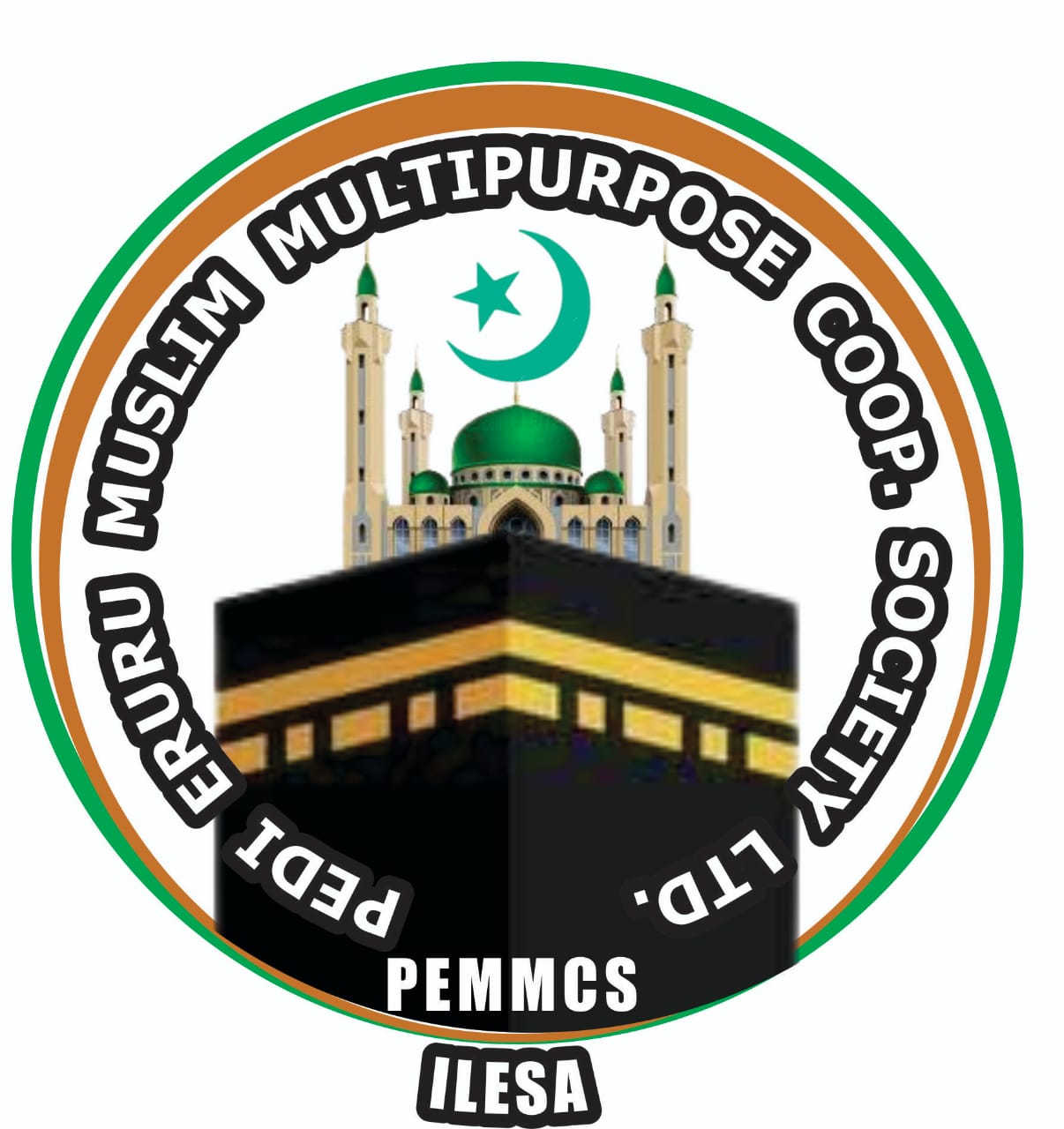 PEMMCS Logo